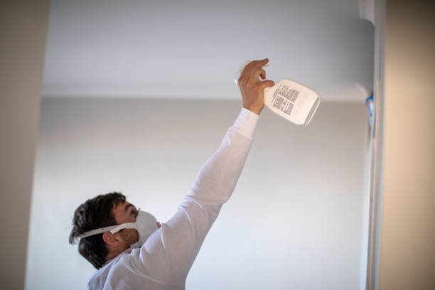 Best Best Mold Removal Companies  in Louisville, GA
