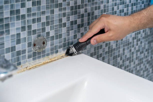 Best Emergency Mold Removal  in Louisville, GA