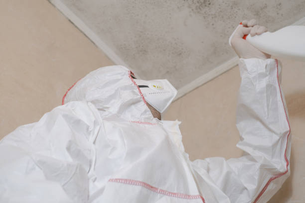 Best Crawl Space Mold Removal  in Louisville, GA
