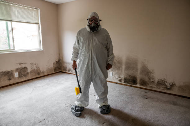 Crawl Space Mold Removal in Louisville, GA