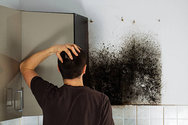 Best Emergency Mold Removal  in Louisville, GA