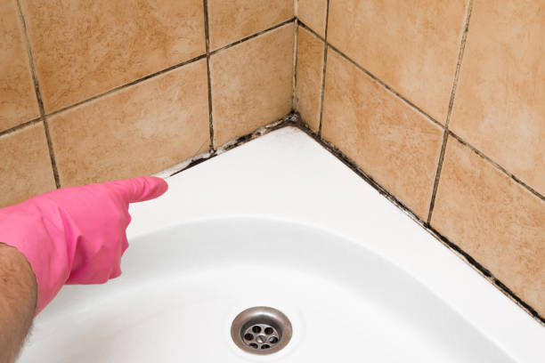 Best Commercial Mold Removal  in Louisville, GA